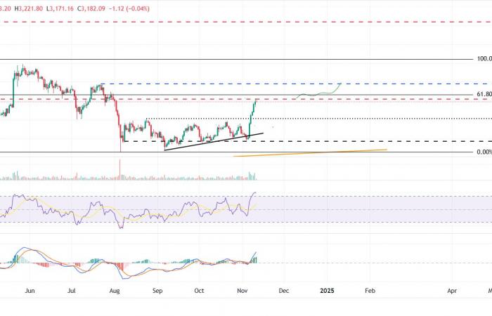 BTC erreicht ein neues Allzeithoch bei 81.800 $