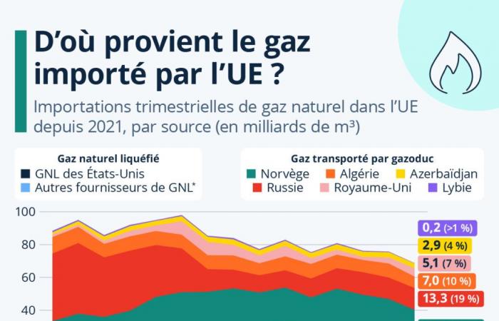 Diagramm: Die wichtigsten Gaslieferanten der Europäischen Union im Zeitverlauf