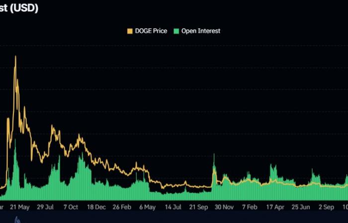 Dogecoin steigert seine Gewinne, während Händler die Rolle von Elon Musk in der kommenden Trump-Regierung bewerten