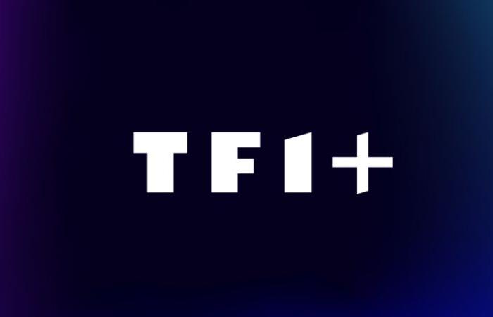 Arte und seine 2000 Stunden Inhalt kommen auf TF1+ und sind bald auf Freeboxes verfügbar