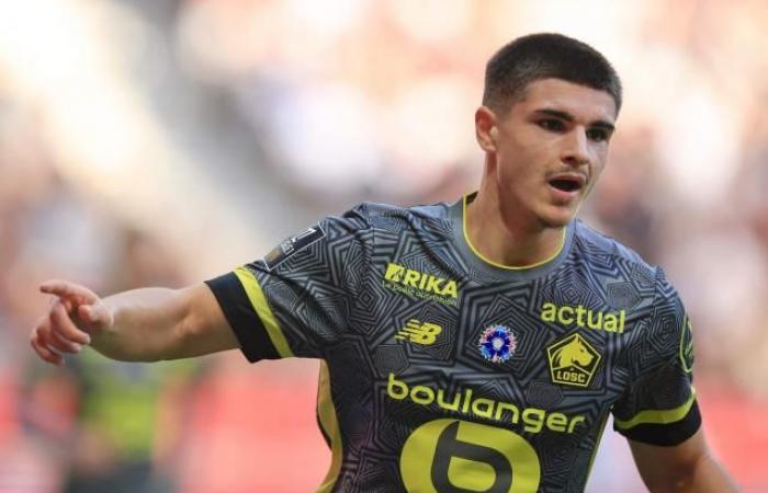 Fernandez-Pardo, eine vielversprechende Rückkehr nach Lille (Ligue 1)