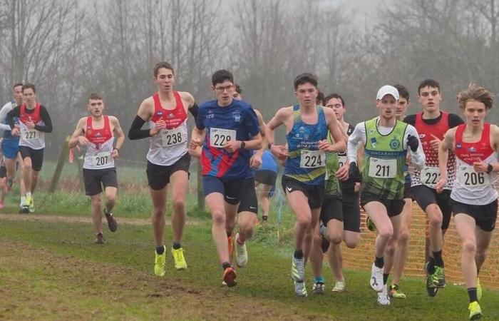 Centre-Finistère – 500 Läufer werden für den Crosslauf der Quimper Athletics am Montag, den 11. November, erwartet