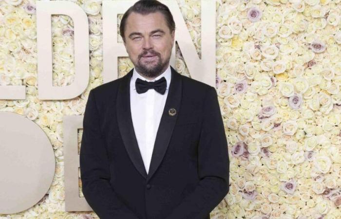 Brad Pitt, Robert de Niro… Diese Stars kamen, um Leonardo DiCaprios 50. Geburtstag in einer Villa in Los Angeles zu feiern