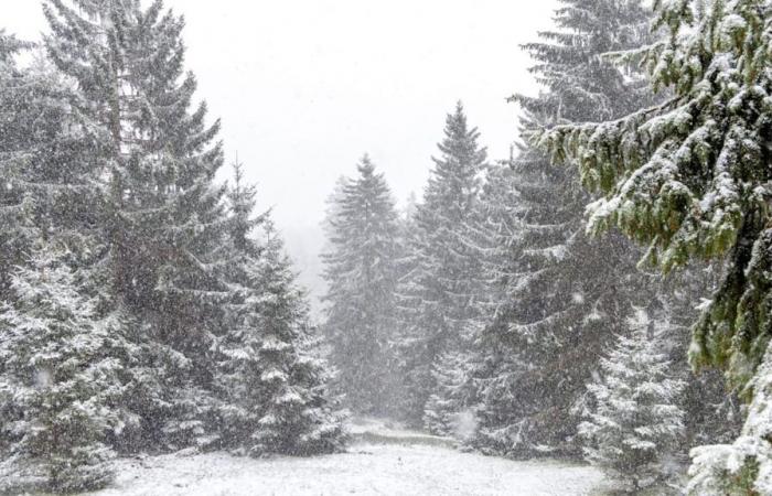 Schneefallgrenze sinkt weiter: Schneit der Winter sogar im Norden rein? | News