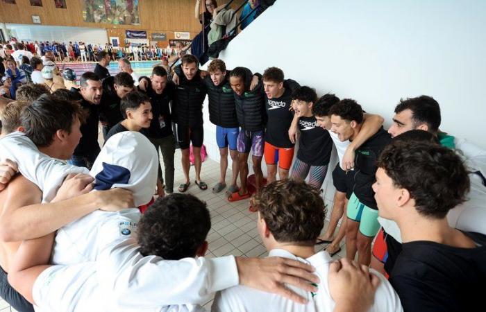 BERICHTERSTATTUNG. Léon Marchand: „Er ist wie wir, nur dass er durchgebrochen ist …“ Immersion mit den Teamkollegen des Starschwimmers bei den TOEC Dauphins