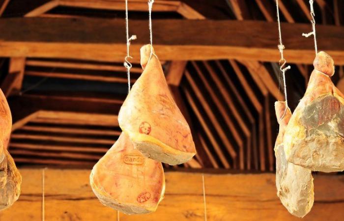 Rachida Dati hat sich für den Schinken dieser Kathedrale in Cantal entschieden, der dieser Kirche in Puy-de-Dôme gefällt