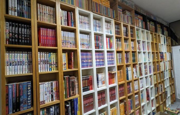 Er eröffnet einen Buchladen, um seine außergewöhnliche Sammlung von 26.000 Comics, Mangas und Comics zu verkaufen