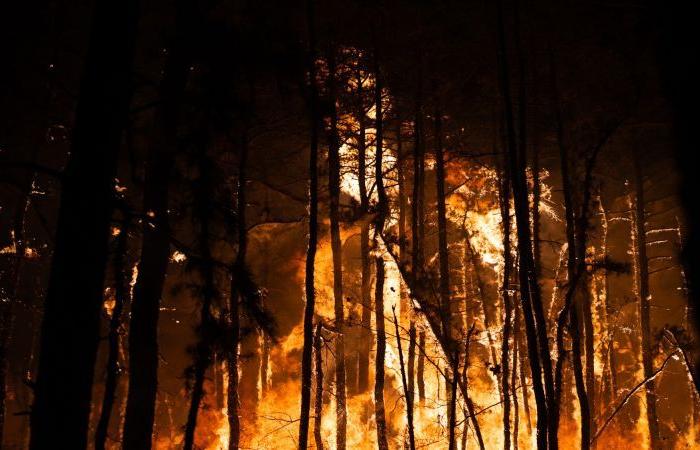 Waldbrandursache in New Jersey: Ein Mann wurde wegen Brandstiftung im Zusammenhang mit einem Waldbrand angeklagt