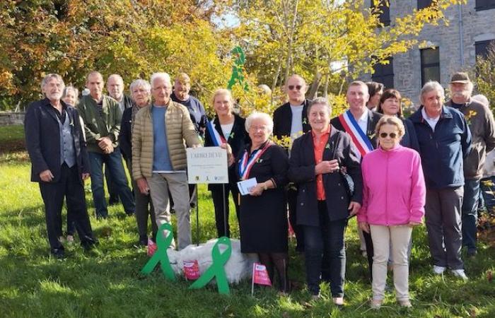 Champagnole & Region. Ein Lebensbaum zu Ehren von Organspendern, eine Premiere im Jura! | Wöchentlich 39