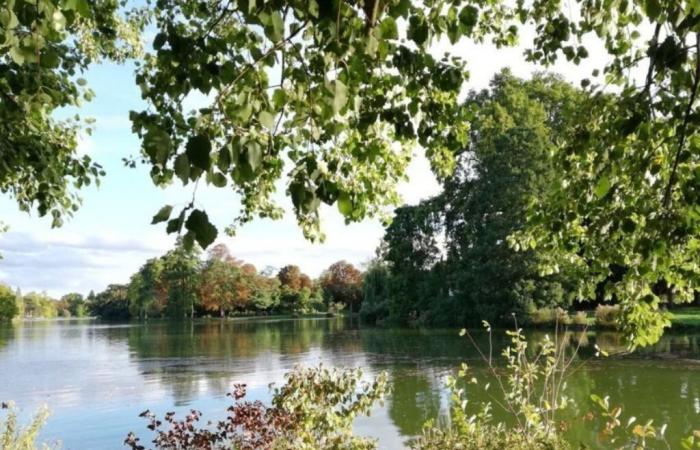 Unsere Ausflugsideen für eine Explosion der Farben im Val-de-Marne