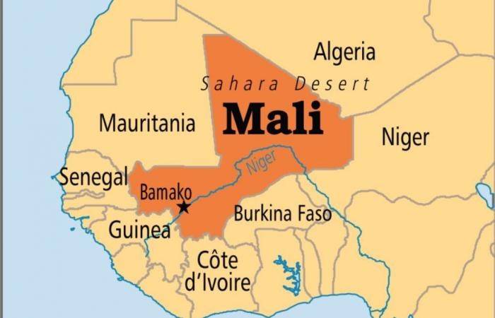 Goldmine in Mali: Die an der Macht befindliche Militärjunta schlägt hart zu …