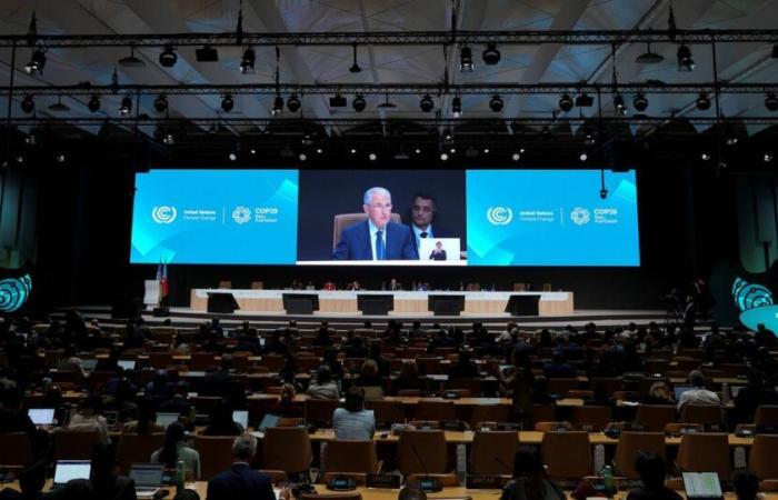 Neue Standards für Emissionsgutschriften wurden am ersten Tag der COP29 in Baku verabschiedet – rts.ch