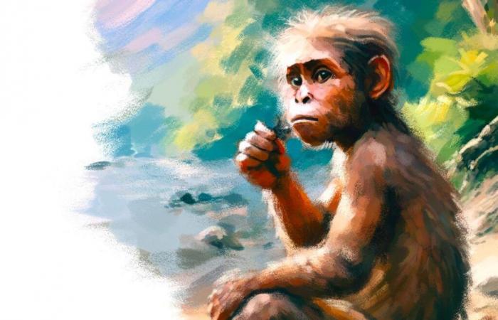 Das umstrittene Erbe von Lucy, dem berühmtesten Australopithecus