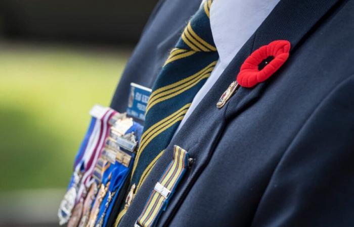 Gedenktag: Hommage an kanadische Veteranen in Ottawa