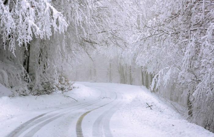 Wetterwarnung – Hautes-Pyrénées, Pyrénées-Atlantiques, Ariège und Haute-Garonne mit gelber Schnee-Eis-Warnung am Dienstag, 12. November