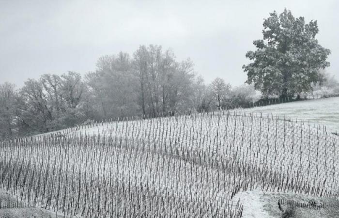 Hier sind die 5 Orte, an denen diese Woche Schnee erwartet wird