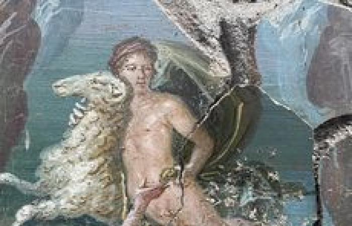 Pompeji: DNA-Analysen enthüllen die wahre Geschichte der Opfer des Vesuv-Ausbruchs