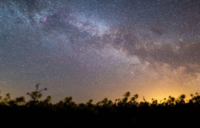 Wann ist der nächste Vollmond?