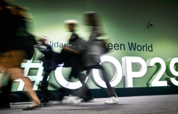 Welche Rolle kommt der Wissenschaft auf der COP29 zu?