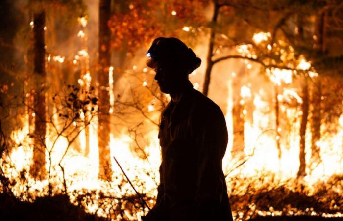 Im Nordosten wütet die historische Dürre, während an beiden Küsten Waldbrände brennen