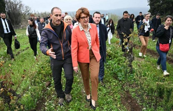 „Es darf keine Gewalt geben“, warnt der Landwirtschaftsminister