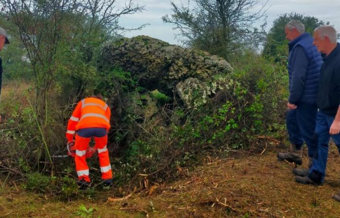 zwei Dolmen von Artron ans Licht gebracht