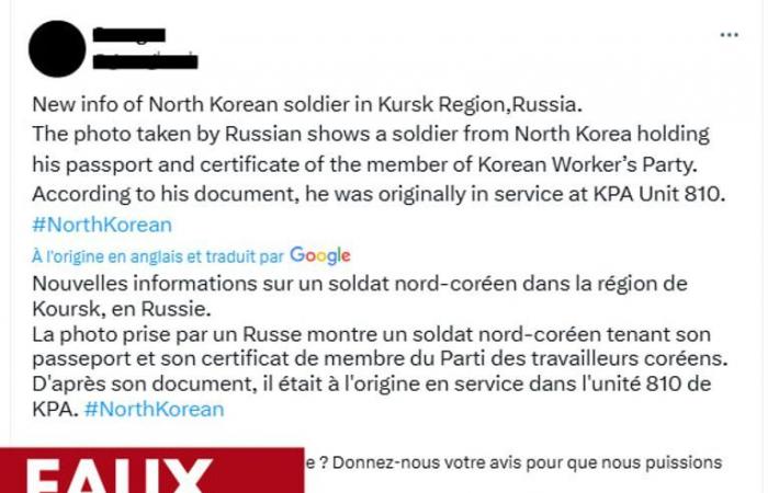 CHECK – Nordkoreanische Soldaten in Russland: Was wir über die Bilder wissen, die ihre Anwesenheit beweisen