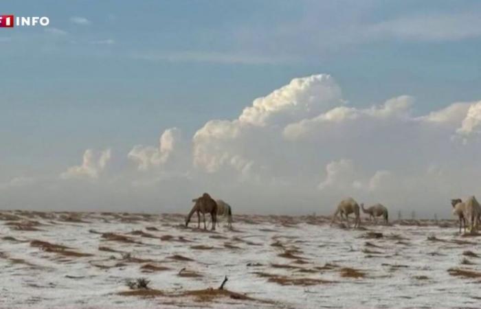 Saudi-Arabien: Erstaunliche Bilder der von Hagel bedeckten Wüste