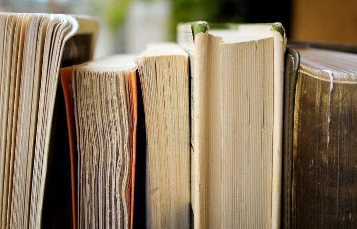 Festi’livres, das neue Büchertreffen in Vauvert