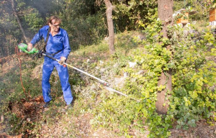 Drome. In 242 Kommunen besteht eine Bürstenräumpflicht, die Sie bei Nichteinhaltung riskieren