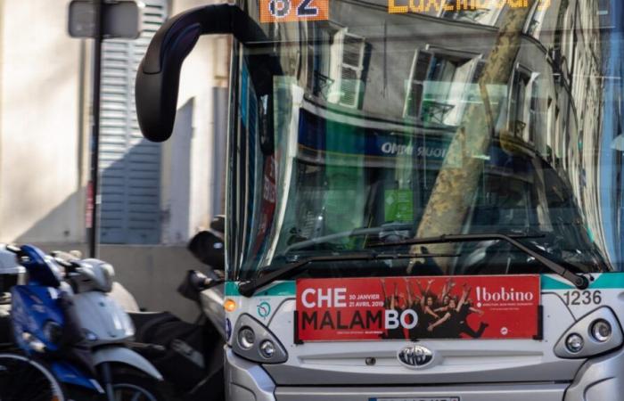 Busfahrer wegen Einschüchterung eines Radfahrers in Paris entlassen