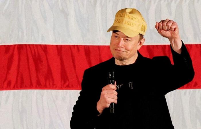 Elon Musk wurde von Donald Trump zum Leiter der US-Abteilung für „Regierungseffizienz“ ernannt