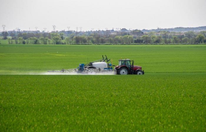 Dem französischen Trinkwasser droht die Nichteinhaltung durch einen ewigen Schadstoff