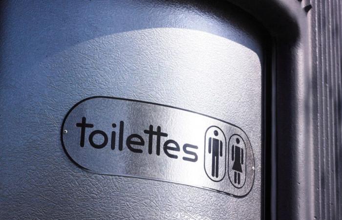 Für oder gegen öffentliche Toiletten auf der Straße? Das dringende Referendum dieser Stadt Seine-Saint-Denis