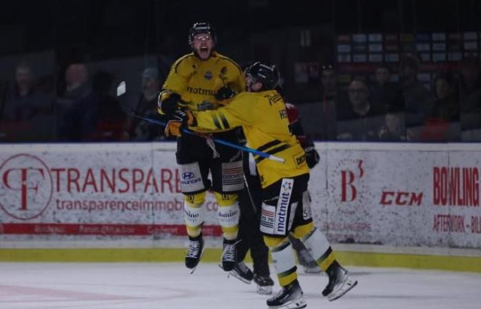 Siege für Grenoble, Angers und Rouen in den letzten Spielen der Ligue Magnus