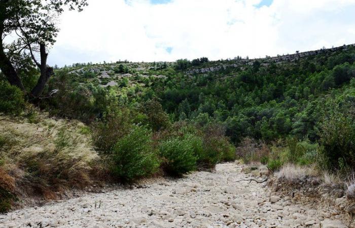 Hydrologisch besser in Aude, aber es bleiben weiterhin schwarze Flecken