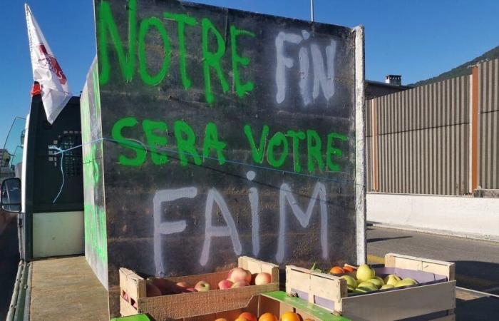 Ein Forscher aus Toulouse entschlüsselt die Mercosur-Abkommen und ihre Folgen für die Landwirte