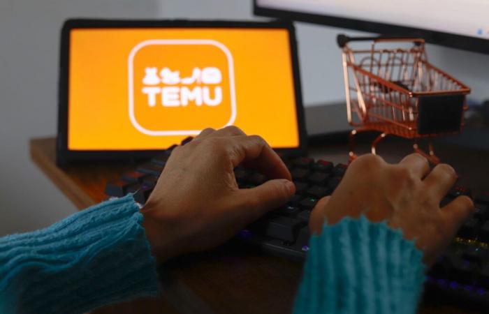 EU geht gegen Online-Marktplatz Temu wegen möglicher Verstöße gegen das Verbraucherrecht vor