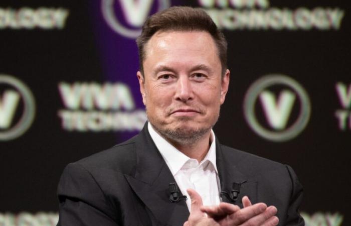 Elon Musk in der Regierung? – Dogecoin (DOGE) explodiert weiter und legt innerhalb von 24 Stunden um +36 % zu