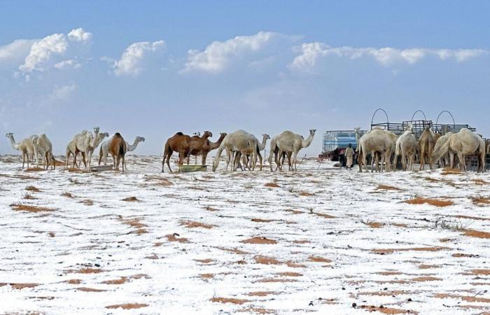 Überraschende Bilder einer von Hagel und Schnee bedeckten Wüste in Saudi-Arabien