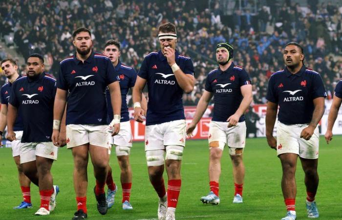 XV. von Frankreich – Alexandre Roumat vor dem Spiel gegen Neuseeland: „Wir haben alle schon einen Haka in unserem Wohnzimmer gemacht …“