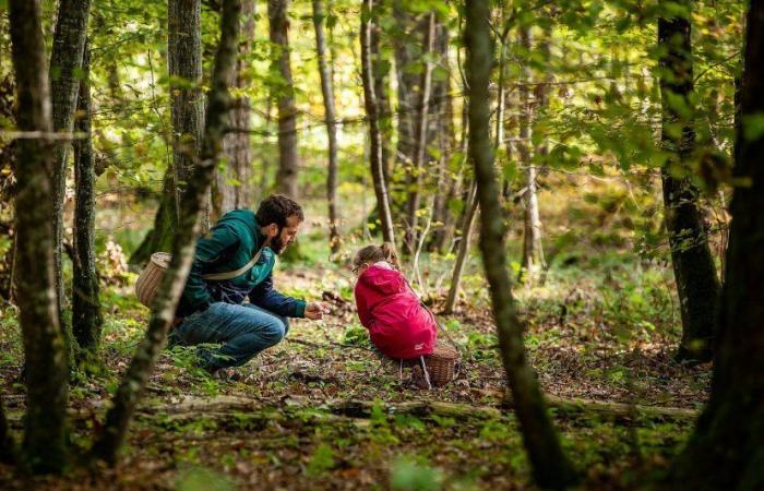 Drôme – Idee für einen Ausflug