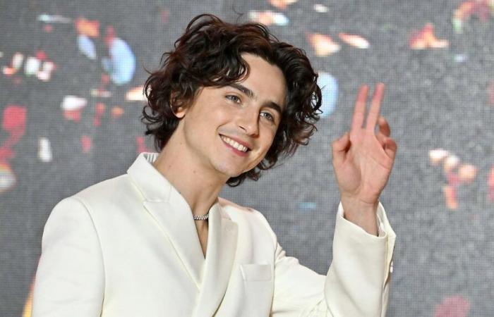 Timothée Chalamet gibt zu, zu Beginn seiner Karriere Opfer von „Bodyshaming“ geworden zu sein