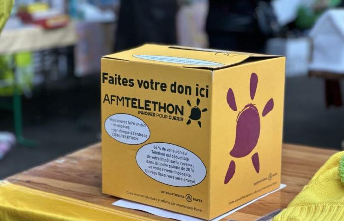 Morbihan. Entdecken Sie das Telethon-Programm 2024