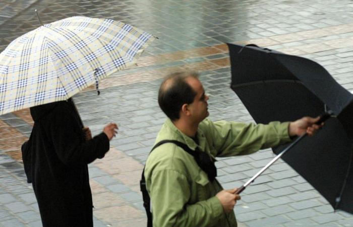 Wetterbericht. Wie ist das Wetter an diesem Dienstag, den 12. November in Hauts-de-France?