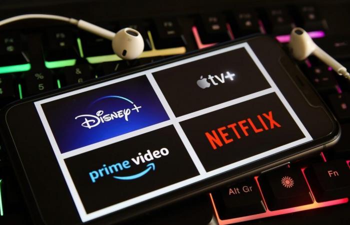 Wer sind die „Pause“, diese Nutzer, die Netflix, Disney+ oder Prime Video schaden?