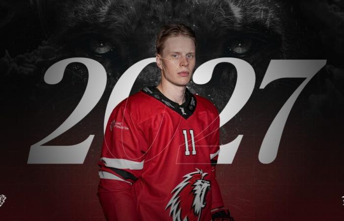 Antti Suomela verlängert für zwei weitere Saisons bei den Lions – Lausanne HC