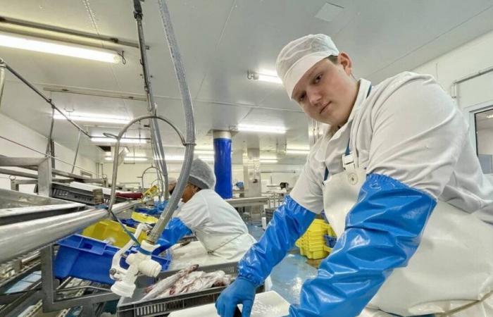 Der beste Fischhändlerlehrling Frankreichs arbeitet in Morbihan