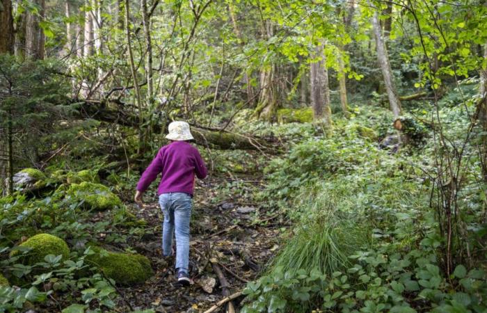 Bericht warnt vor Entstehung einer Generation von Kindern, die von der Natur abgeschnitten sind