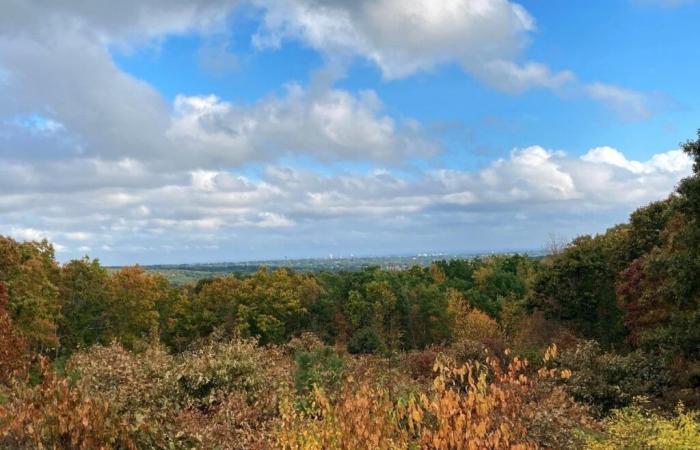 Wie lange wird der warme Herbst in RI anhalten? Siehe The November Outlook